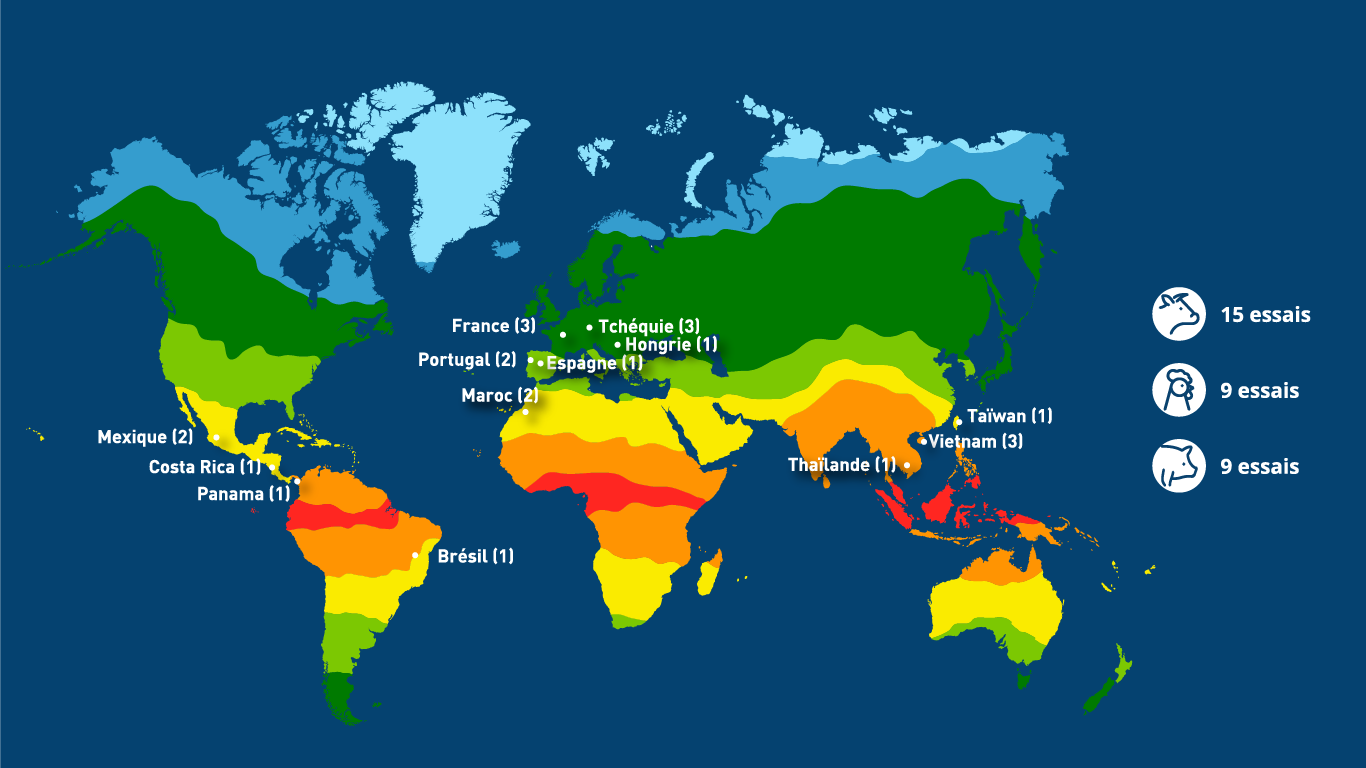 Essais produits monde international