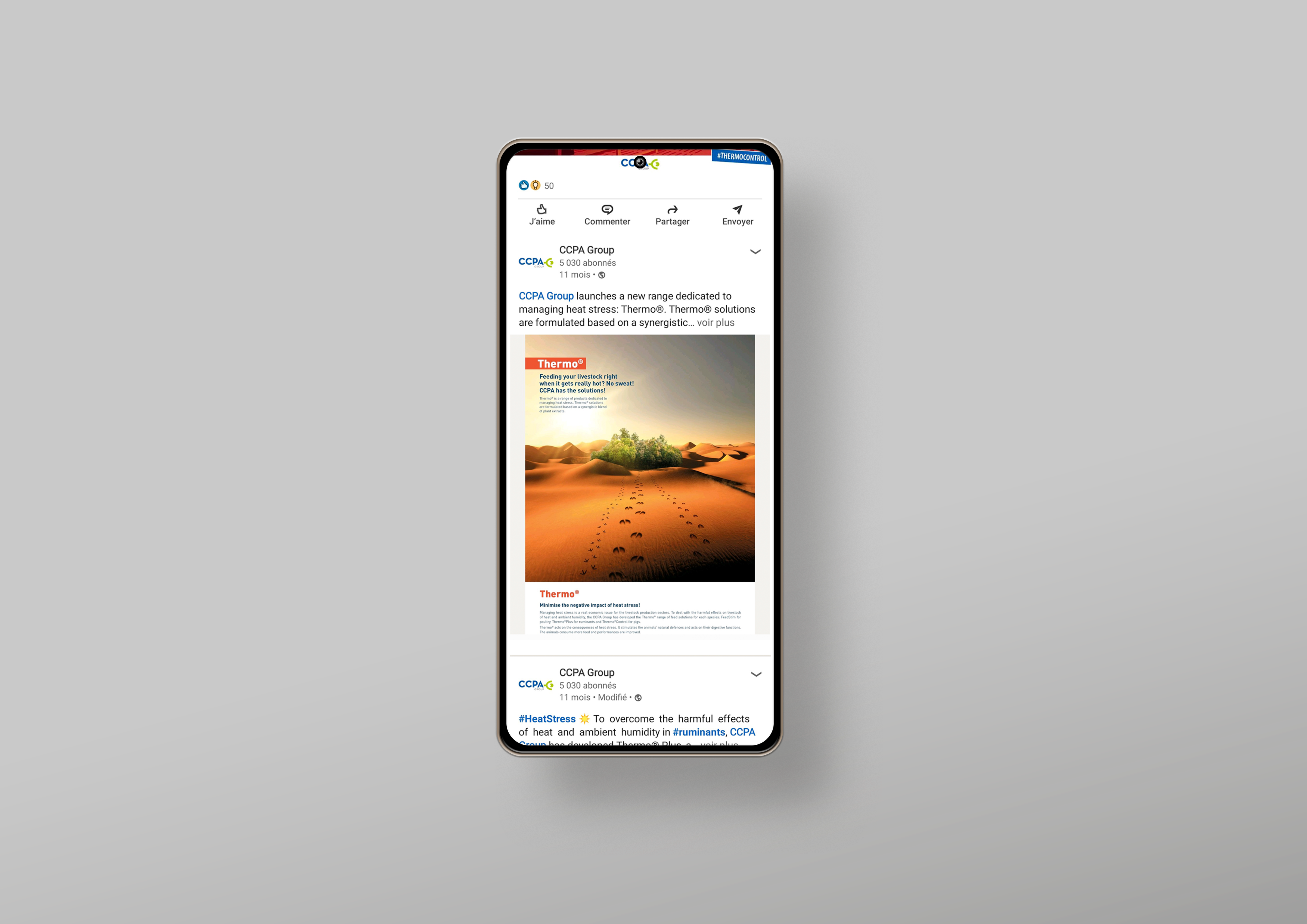 Téléchargez nos exemples de publications réseaux sociaux Thermo