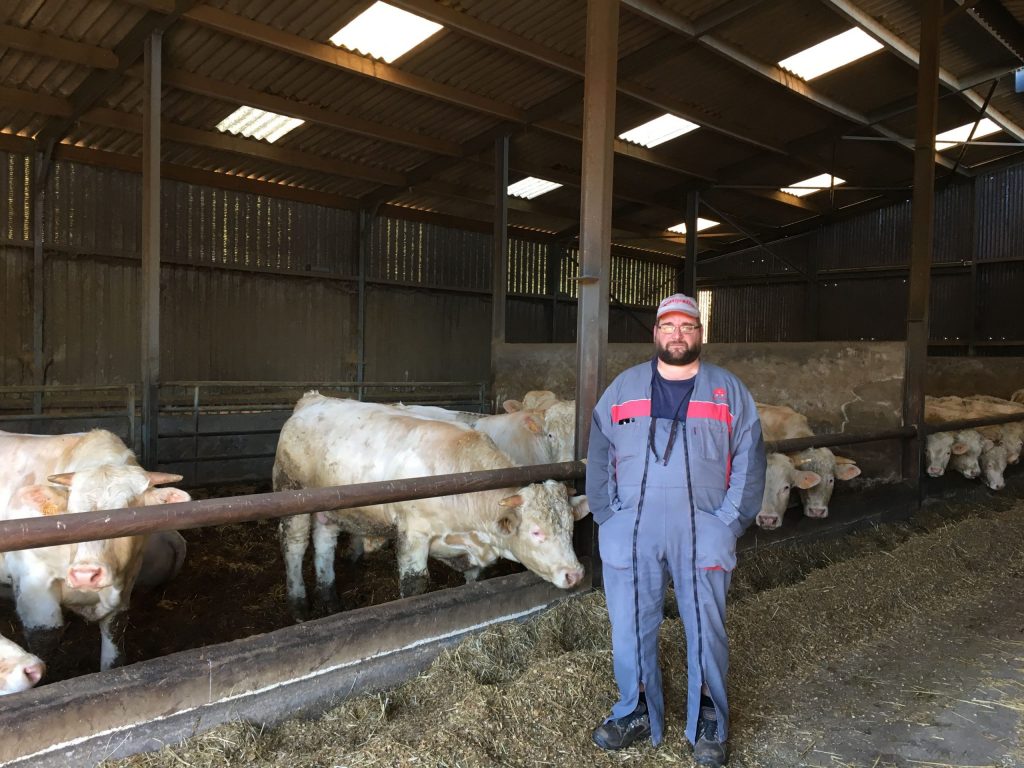 Élevage de ruminants