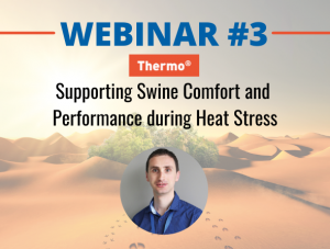 Webinar 3 porc Thermo - stress thermique - heat stress