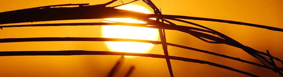 Soleil couchant et chaleur stress thermique Thermo