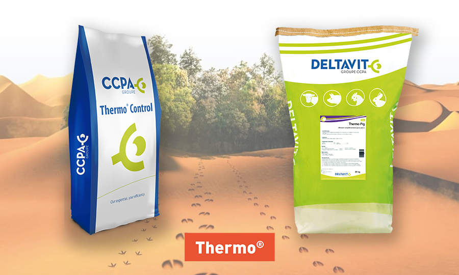 Solutions produits Thermo porc