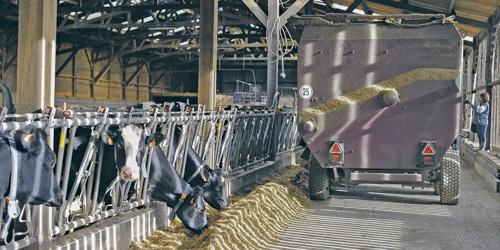 ThermoTour Thermo heat stress